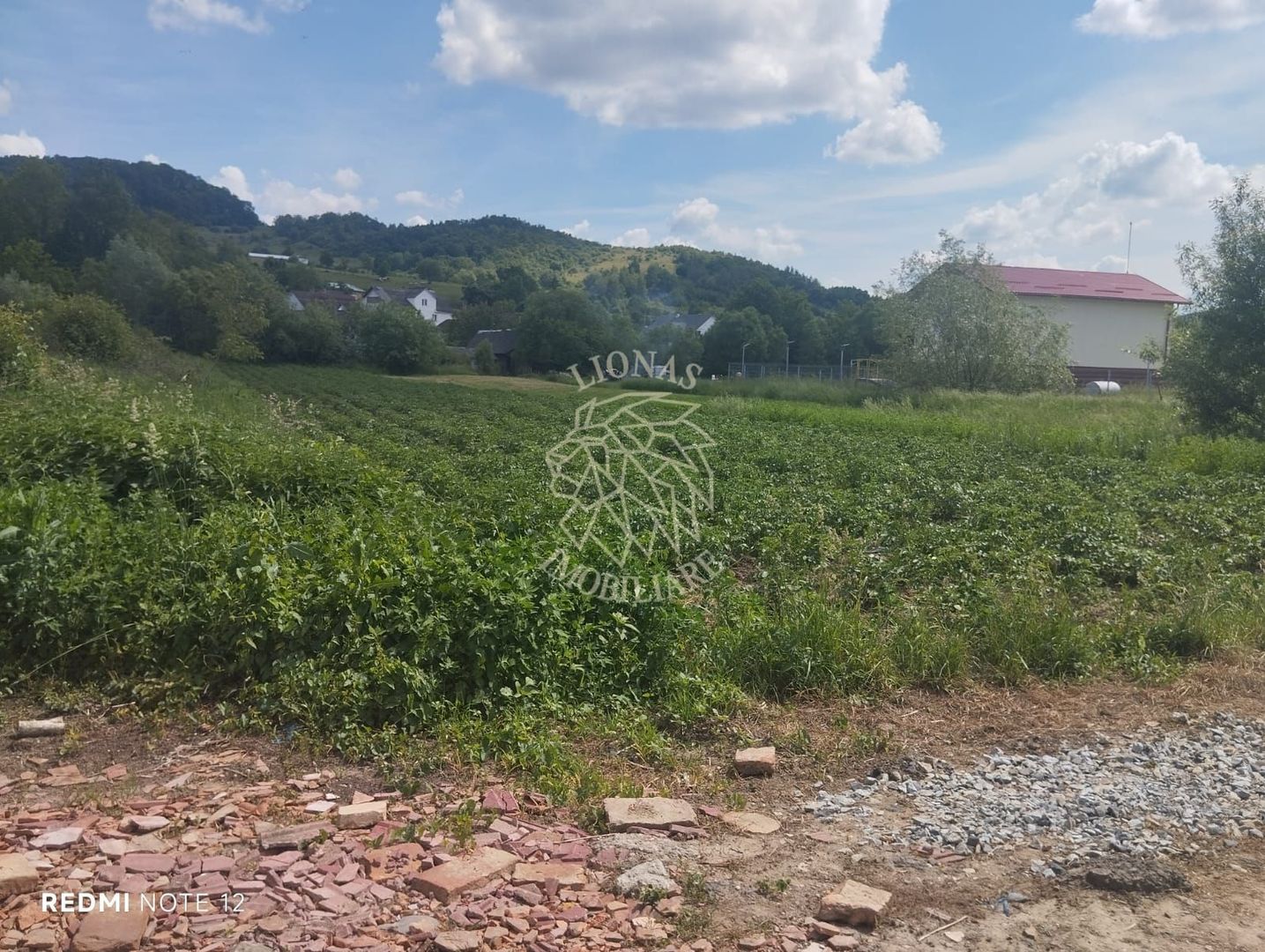 Teren 5832 mp-ideal lac, investitie, cabana, gradina-Slatinita - Poză 4