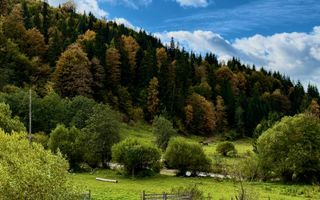 Teren de vanzare in Colibita , 500-6000 mp - Poză 3