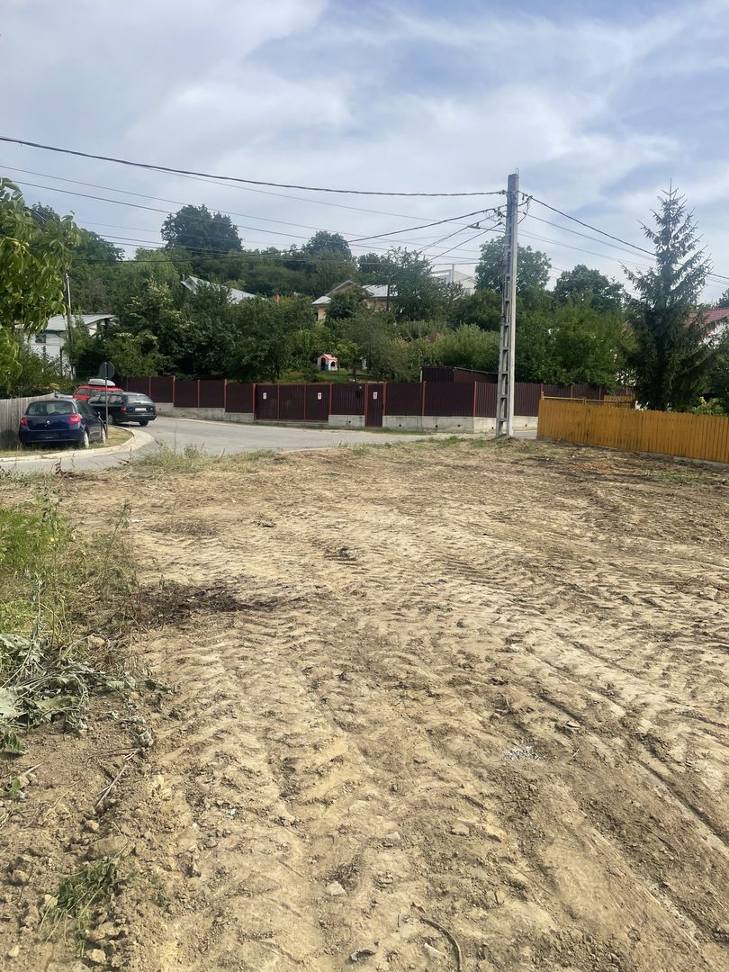 Iasi - Tomesti 3600mp intravilan intre case zona linistita + utilități - Poză 2