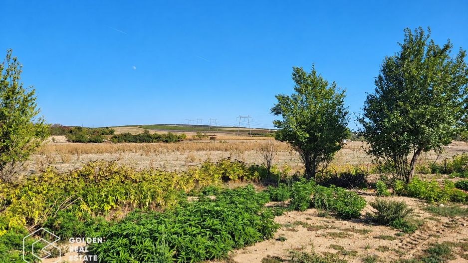 Teren Intravilan, 7000 mp, oras Lipova - Poză 3