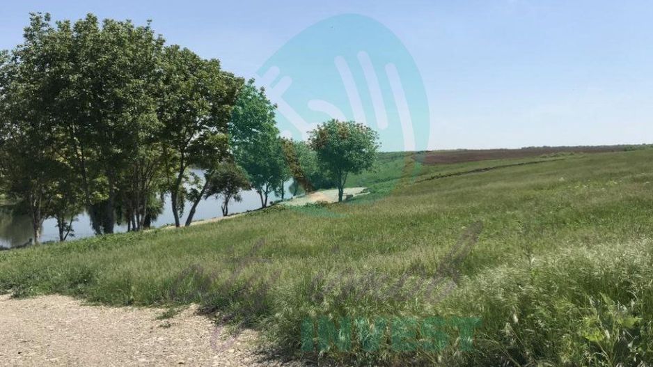 Locatia ideala pentru Casa de Vis ! - Poză 3