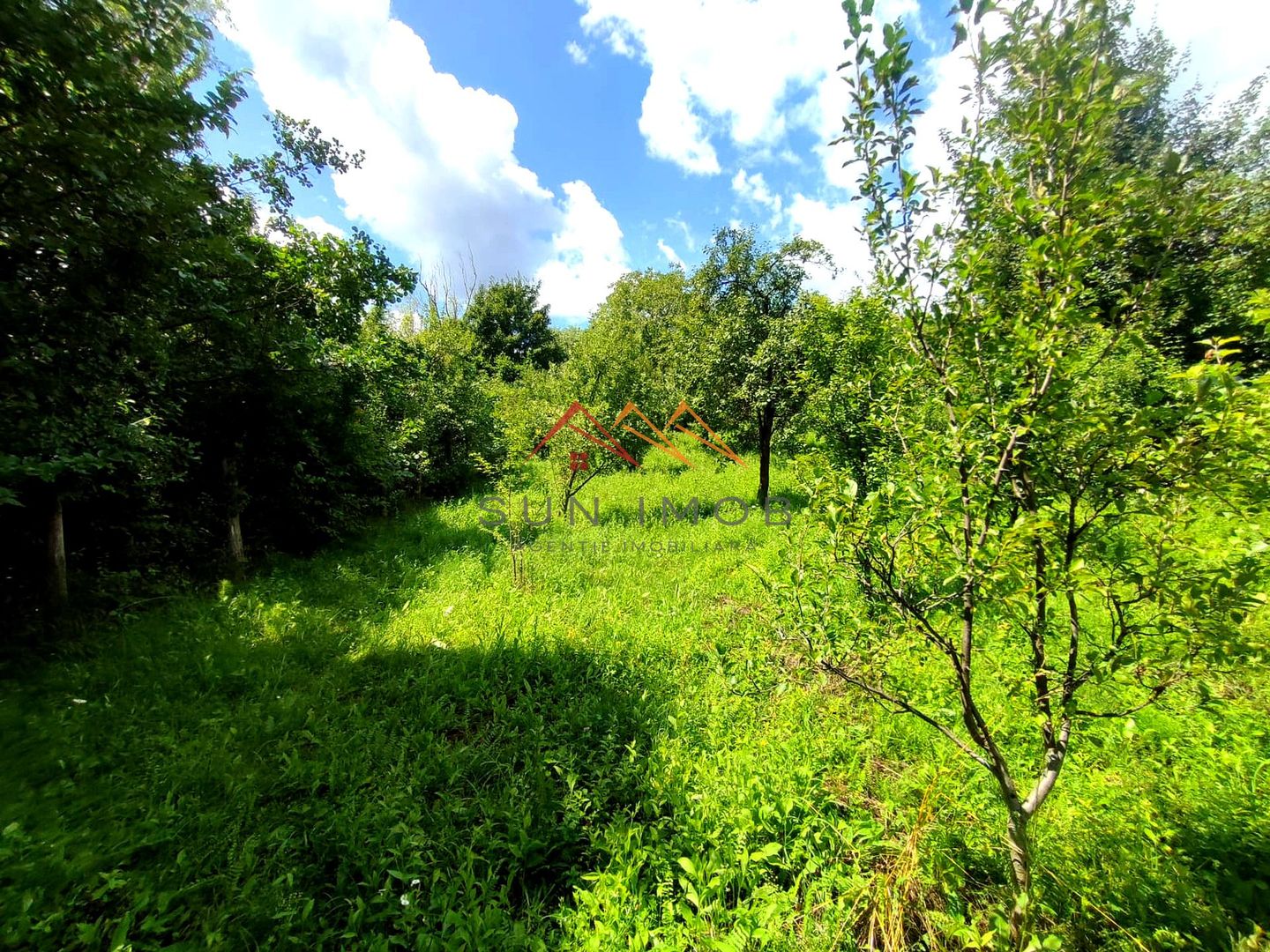 CASĂ INDIVIDUALĂ CU LIVADĂ | 2.195 MP TEREN | POIANA CÂMPINA - Poză 21