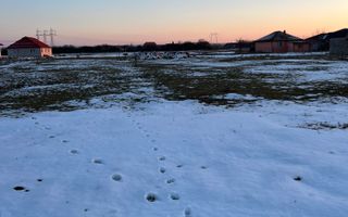 TEREN FUGHIU - Poză 3