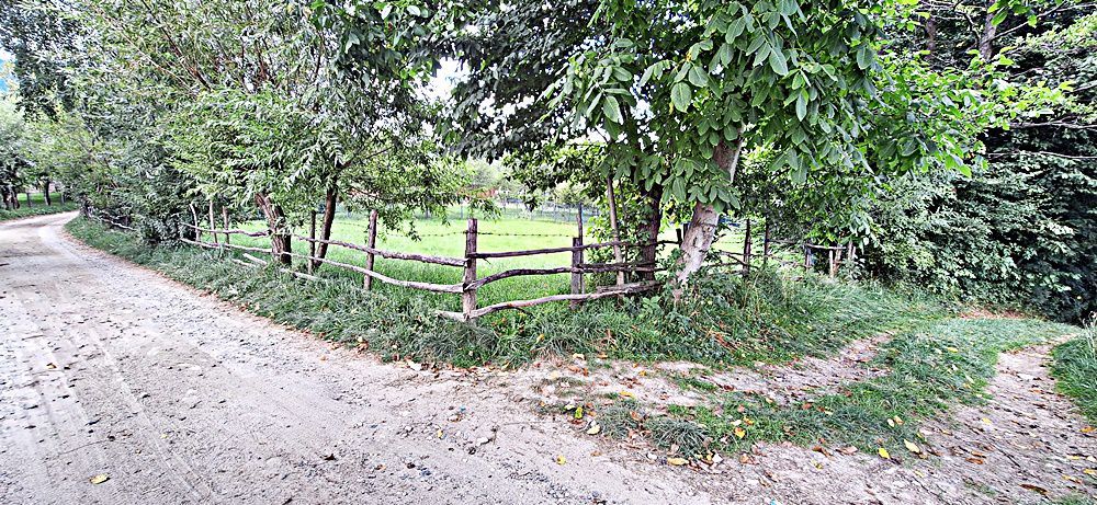 Bran Predelut teren intravilan de 2000mp, pret 27 euro/mp - Poză 5