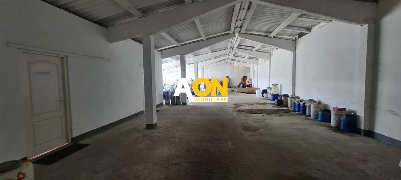Hala Industriala 1077 mp - Poză 11