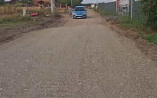 Teren Branesti - Strada Noua - Poză 10