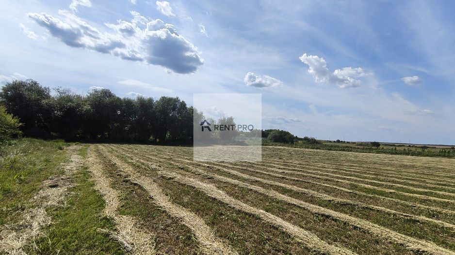 Teren de 11.000 mp cu casă și teren agricol | La 40 km de București | - Poză 1