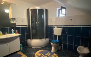 Ag EUROPA vinde casa individuala 6 cam. si teren 5 ari în Titulescu. - Poză 7