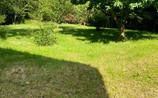 Vila langa padure, panorama superba,  250mp, zona Faget - Poză 27