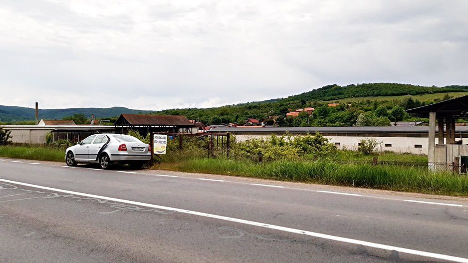 Oportunitate investitie la DN1 in loc. Persani, 2715mp -16euro/mp - Poză 13