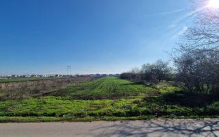 Intravilan , ocazie, 430mp, Berceni, IF - Poză 3