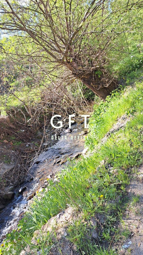 Teren extravilan de vanzare, Bistrita Bargaului- 10 minute de Colibita - Poză 4