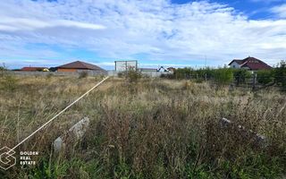 Teren intravilan, 801 mp, Frumuseni - Poză 2