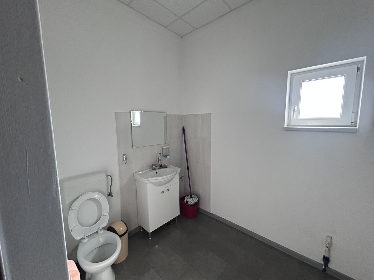 Spațiu comercial de vânzare Vladimirescu - Poză 8