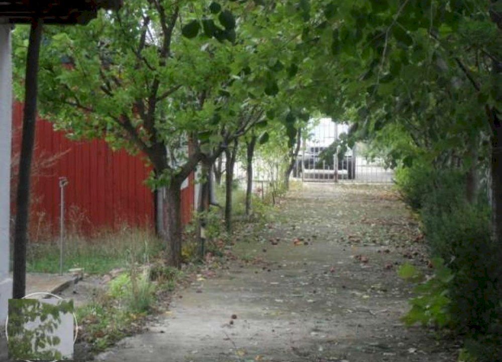 Teren la 35 km de Bucuresti - Izvorani - Ciolpani - Poză 15