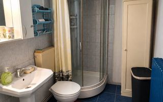 Casă de vanzare cu 4 camere 107 mpu pivnita anexe curte gradina Sebes - Poză 7