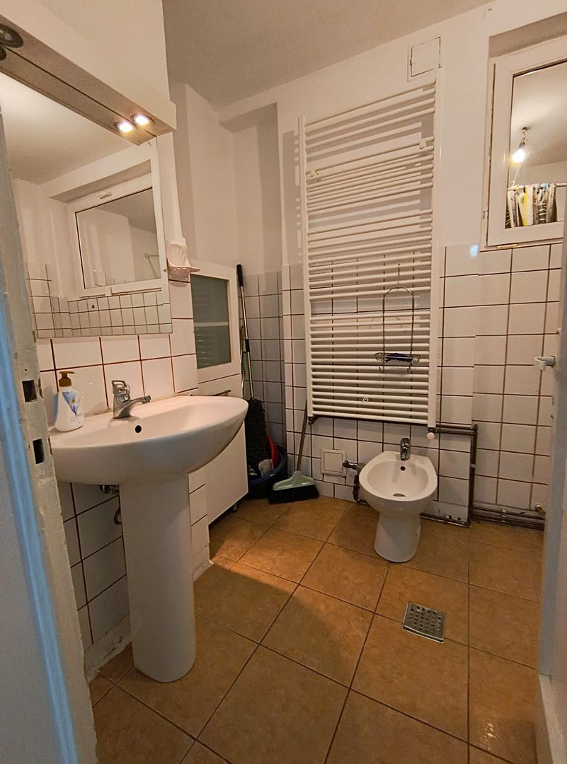 Sala Palatului- Cismigiu- Brezoianu - Poză 6