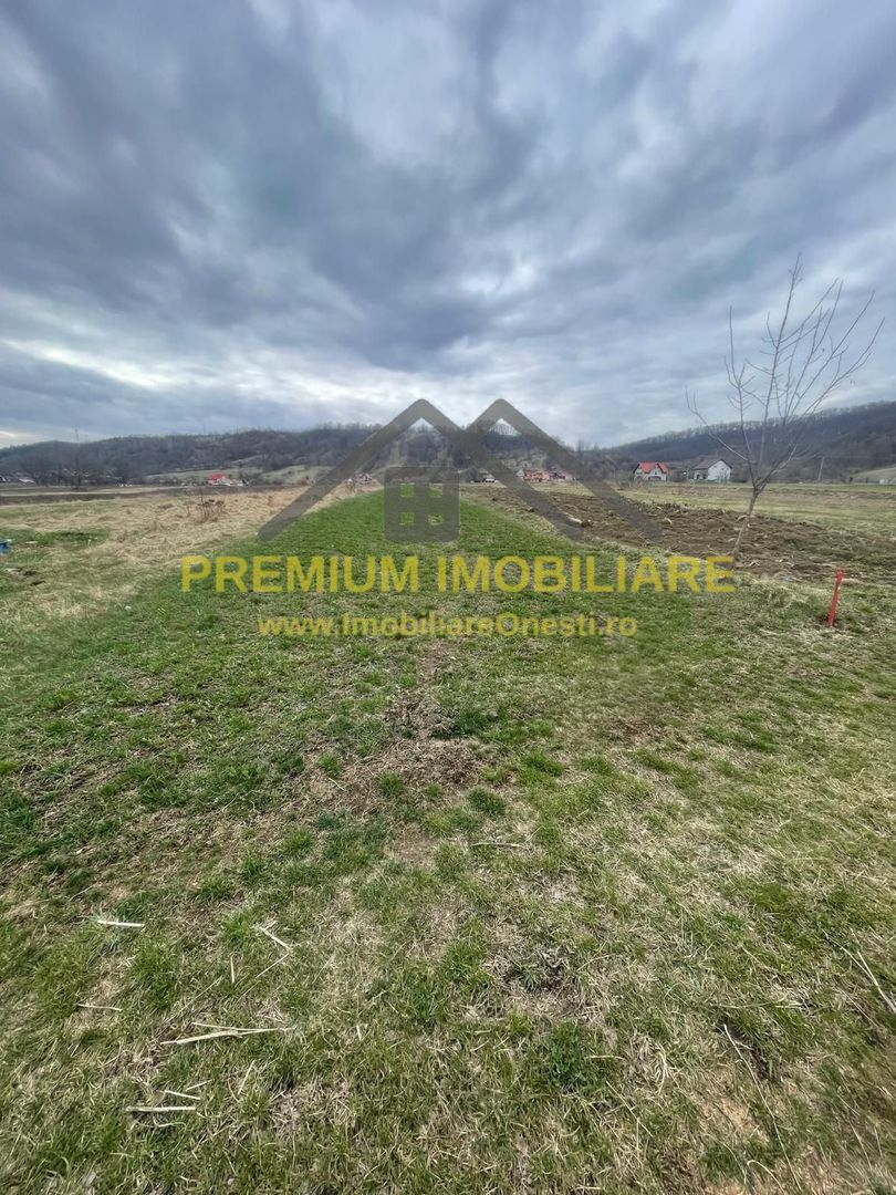 Vânzare teren 3145 mp – Mănăstirea Cașin, Onești - Poză 6