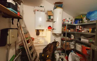 Casa 4 camere, structura din lemn, mobilata, 300 mp teren, Ampoi 3 - Poză 14