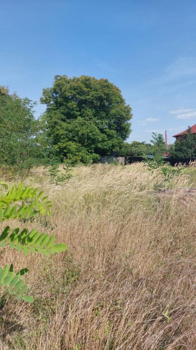 Vanzare teren intravilan, Calea Campulung, zona Cora - Poză 4