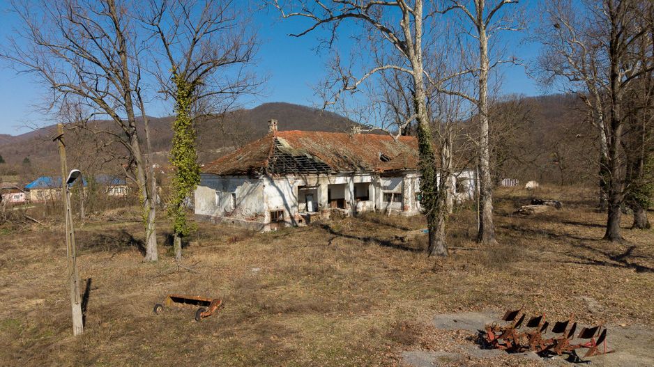 Conac nobiliar de secol XIX cu 8 camere în Maciova - Poză 4