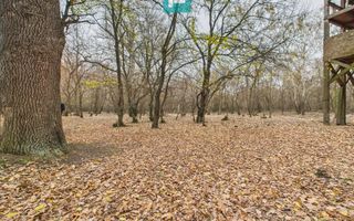 Teren pe malul Muresului- oportunitati multiple - Poză 9