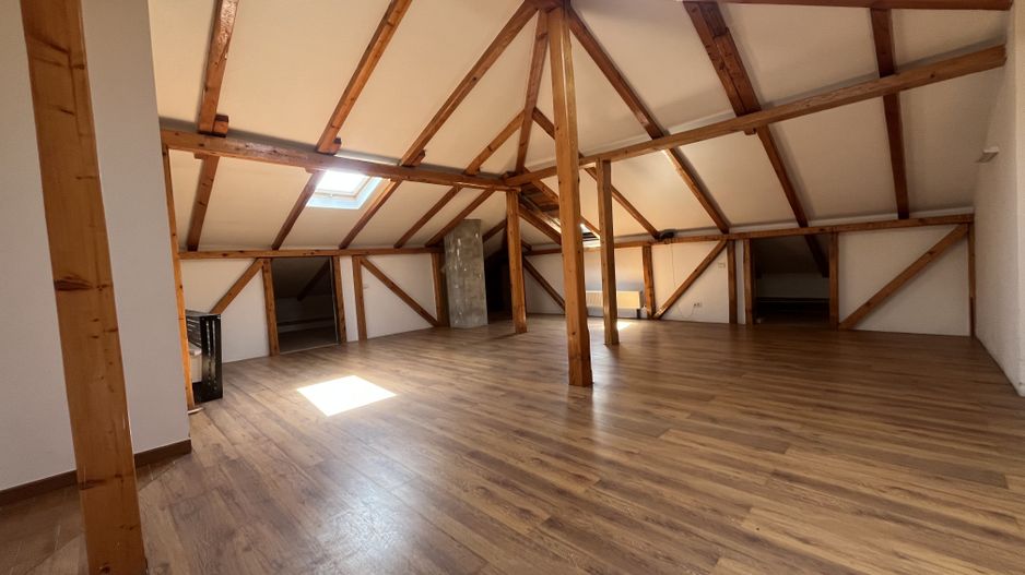 OTOPENI | Chirie Casa 13 Camere pretabil Notariat Cabinet Avocat - Poză 21