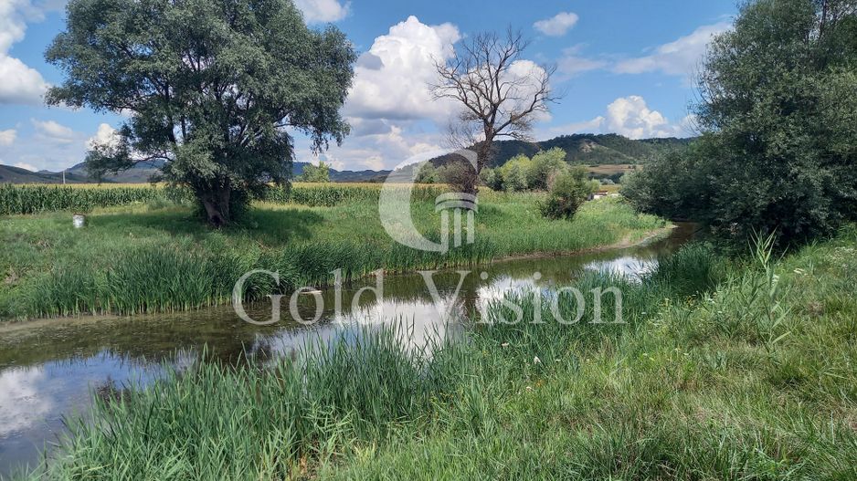 Teren Intravilan de 12.000 mp cu lac de 900mp,in Albesti-Sighisoara - Poză 1