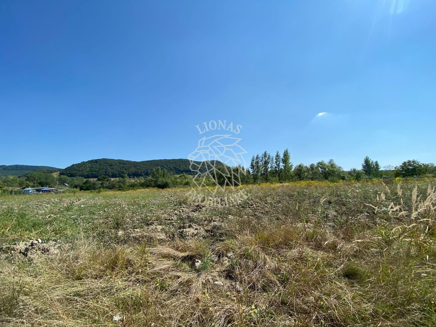 Teren 4100 mp - oportunitate investitie - Bistrita Zona Ranahum - Poză 4