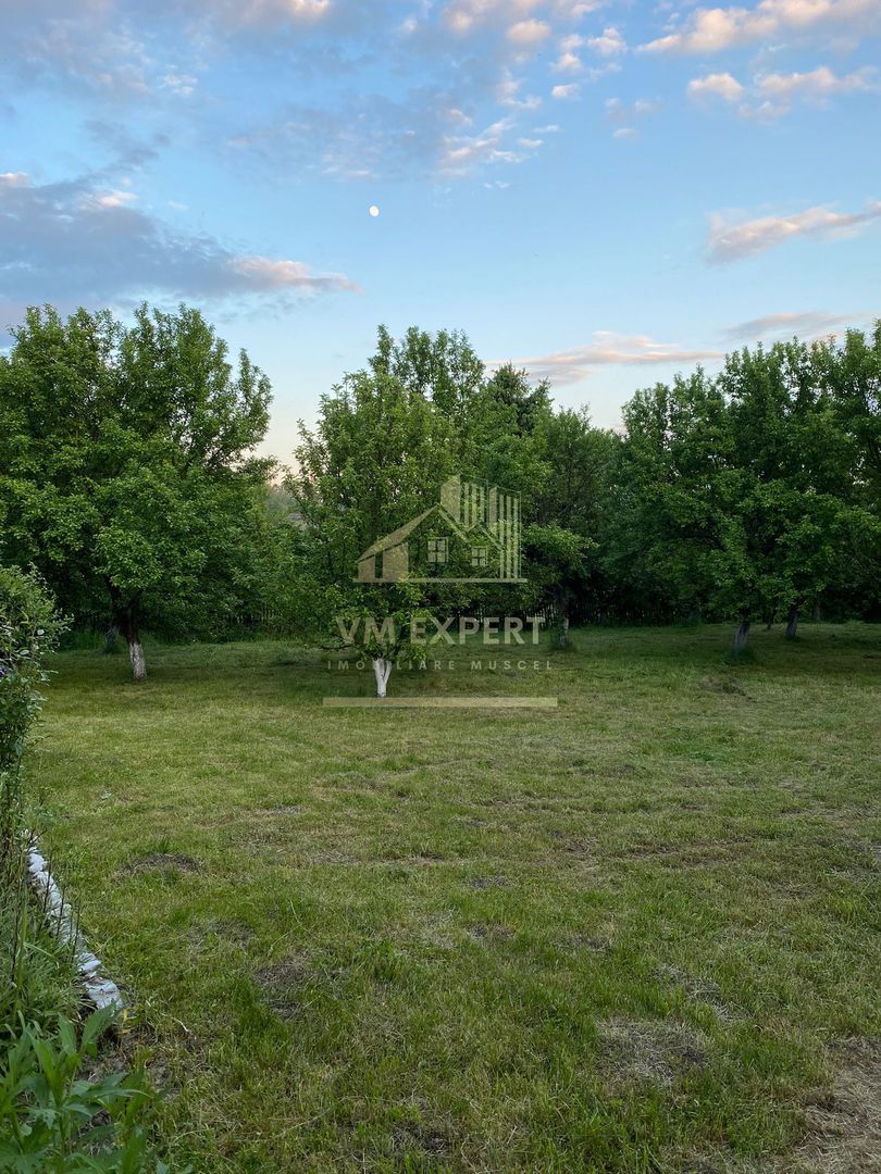 CASA MUSCELEANA 3 CAMERE TEREN 2000 MP BUGHEA DE SUS - Poză 23