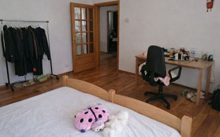 Vilă de închiriat | Suceava – Zamca | 450 mp | Ideal firmă / birouri - Poză 11