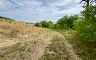 Teren 4.000 mp | Front Generos 47 ml | Utilități | La Asfalt | Cricău - Poză 6