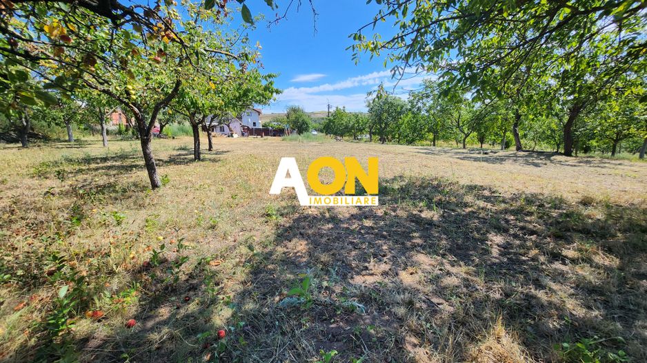De vanzare teren 10.651mp intravilan, parcelabil, Oarda de Sus - Poză 11