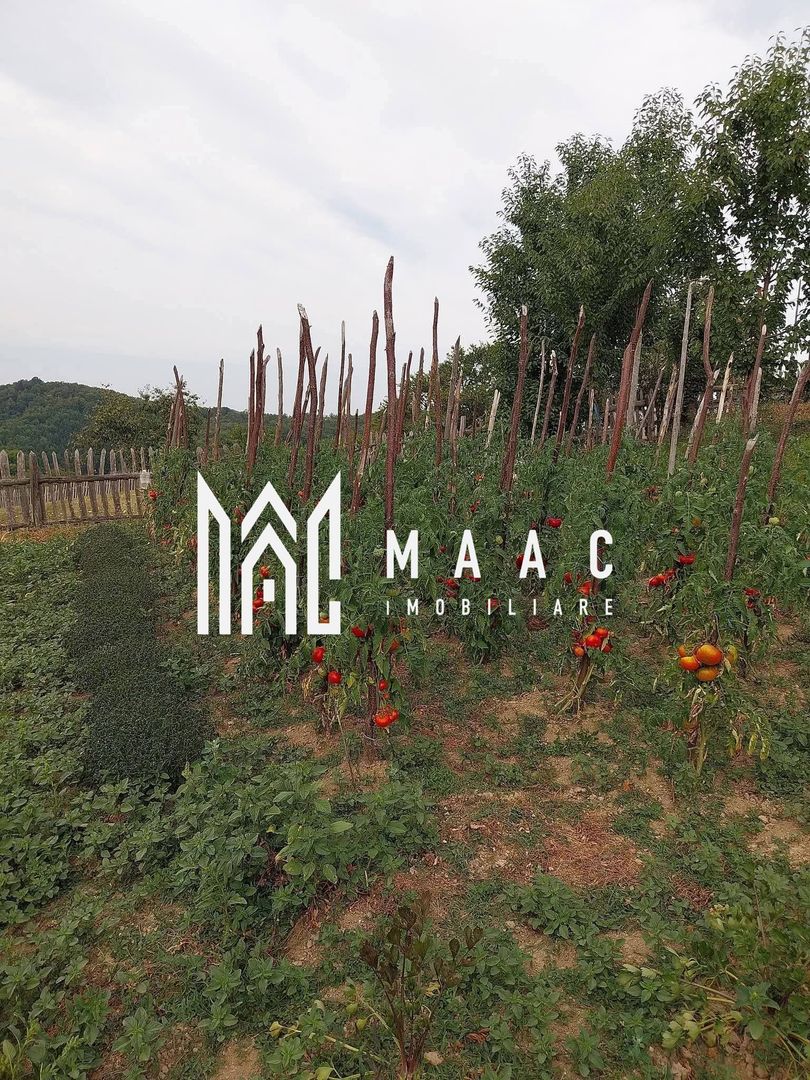 Proprietate cu 60000 mp pamant la pret de apartament - Poză 32