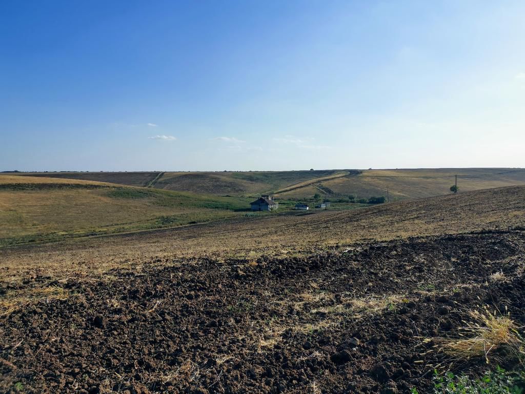 Ferma 415 ha comasat Timisoara NORD - Poză 8