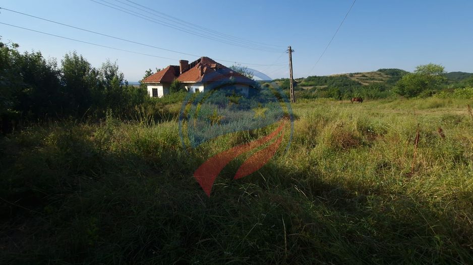 Teren  8 227 mp + Casa demolabila de vanzare in Filiasi -  Fratostita Dolj - Poză 8