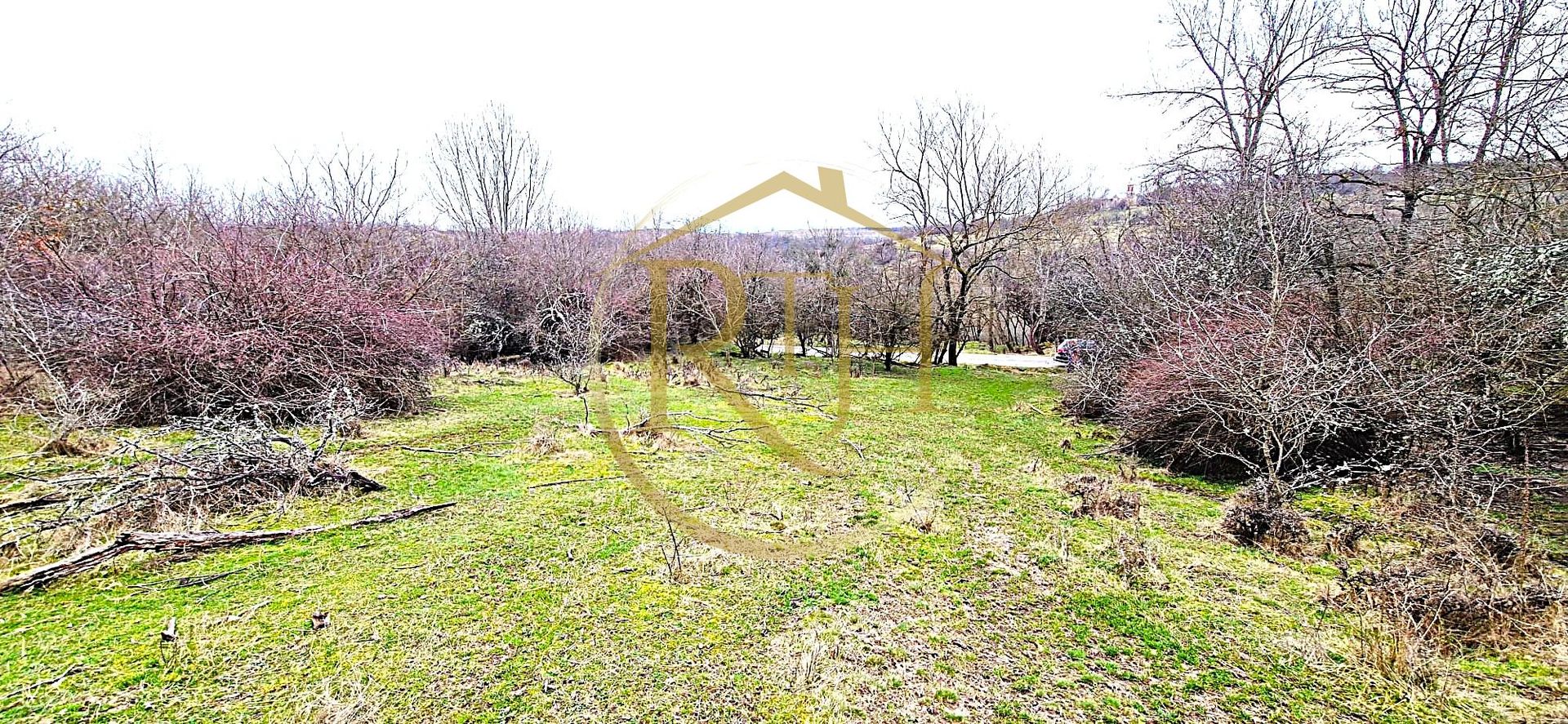 Terenuri extravilane de vânzare – Vizma & Crivobara, comuna Secaș, jud. Timiș - Poză 2