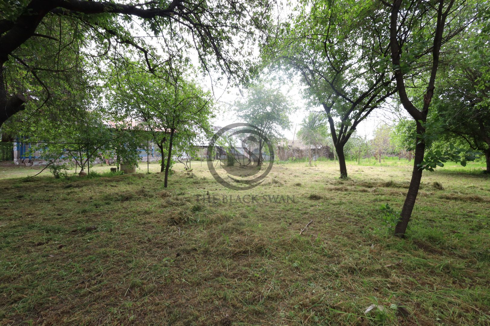 Teren si casa de vanzare | Habud - Sirna, Prahova | Comision 0% - Poză 10