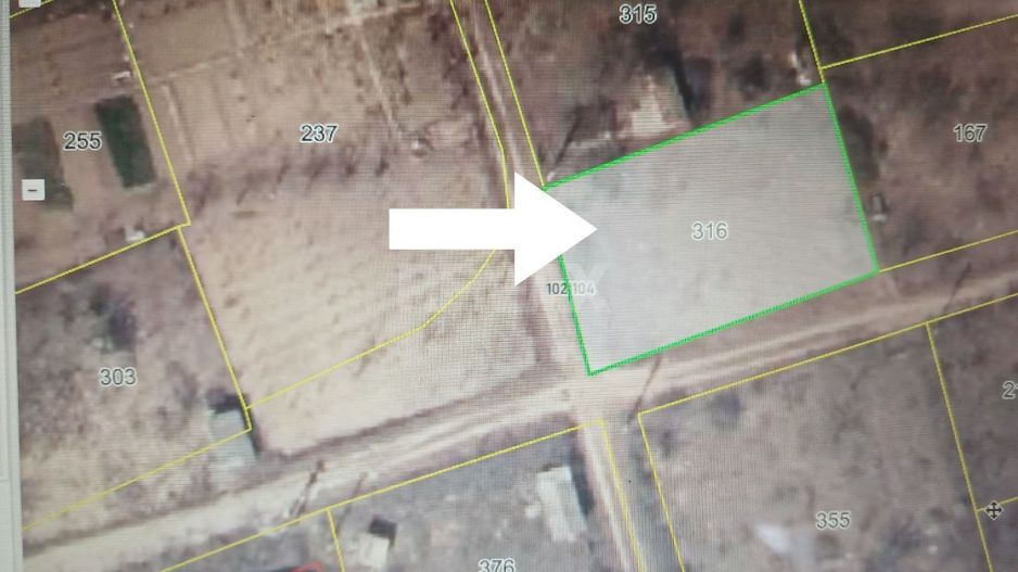 Lot-pomicol 5,9 ari - Cobusca Nouă, Anenii Noi - Poză 1