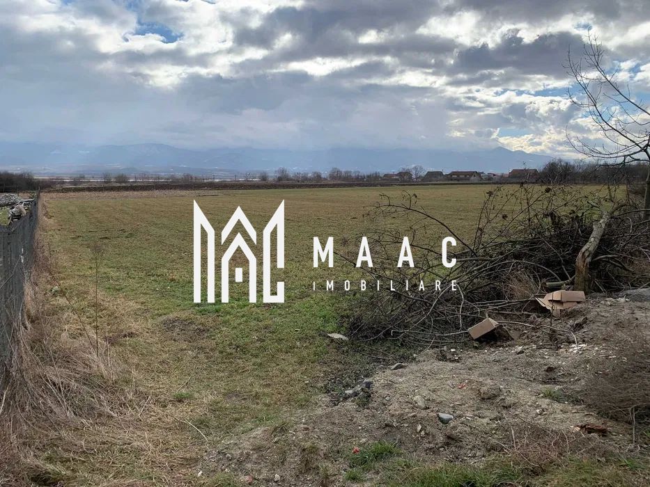 Teren intravilan I 2300 MP I DN 1 - Bradu - Poză 3