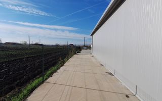 Hala de vanzare in Racarii de Jos - Poză 14