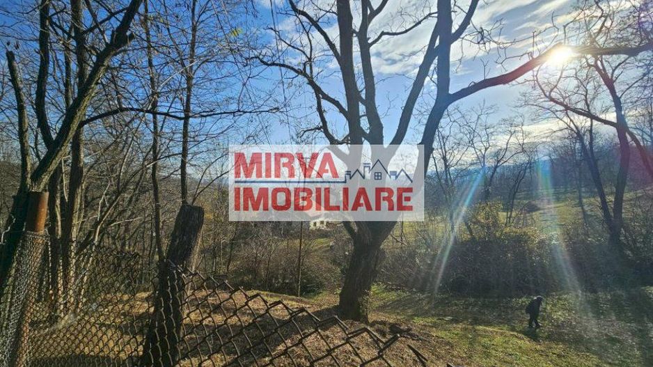 Vanzare casa plus anexa, teren 3843 mp, in Sat Pietriceaua - Poză 18