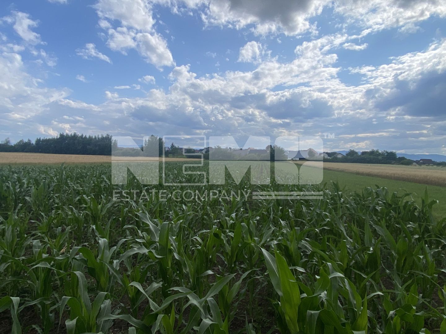 Teren Intravilan | 20 Ari | Frătăuții Noi - Poză 2