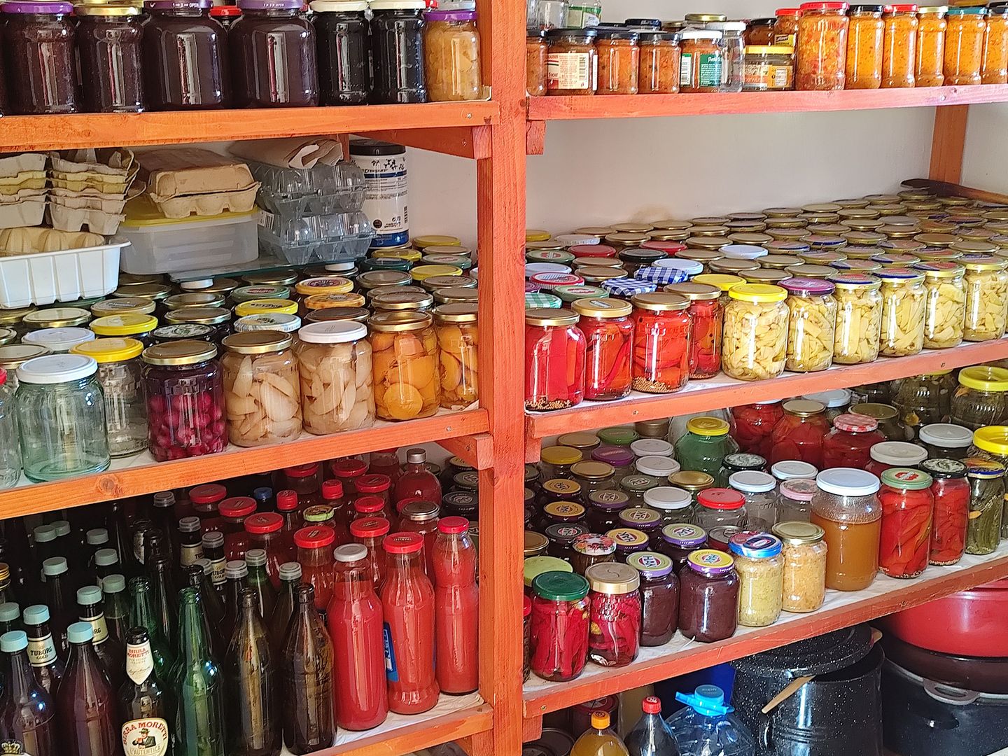 Casa la tara in Sacadat, Bihor, teren 2826 mp, acces auto - Vanzare - Poză 11