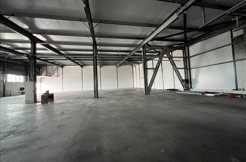 Hala de inchiriat in zona Mehala 1310 mp - Poză 10