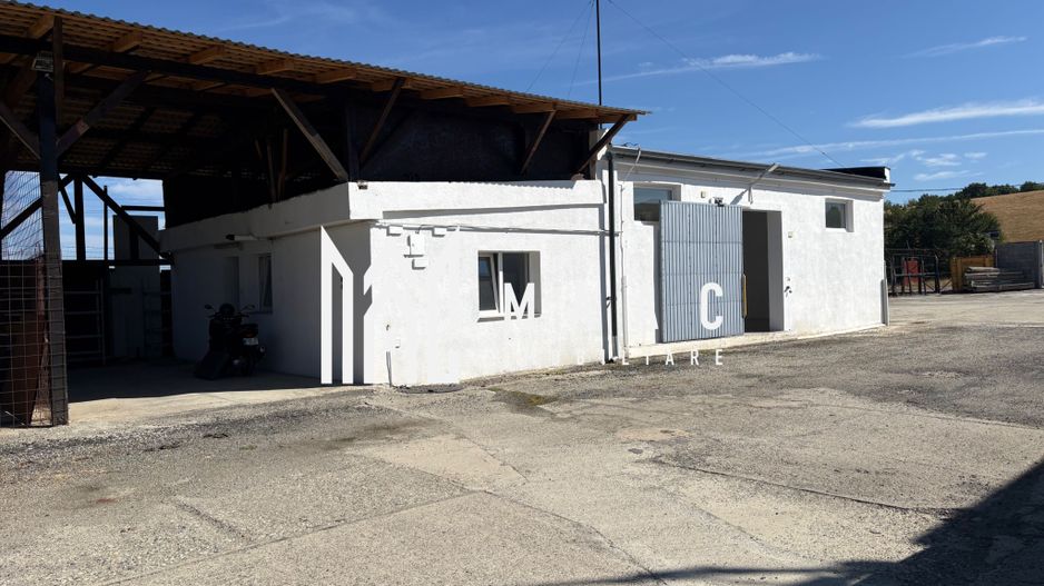 Spațiu comercial I industrial I Cisnadioara - Poză 1