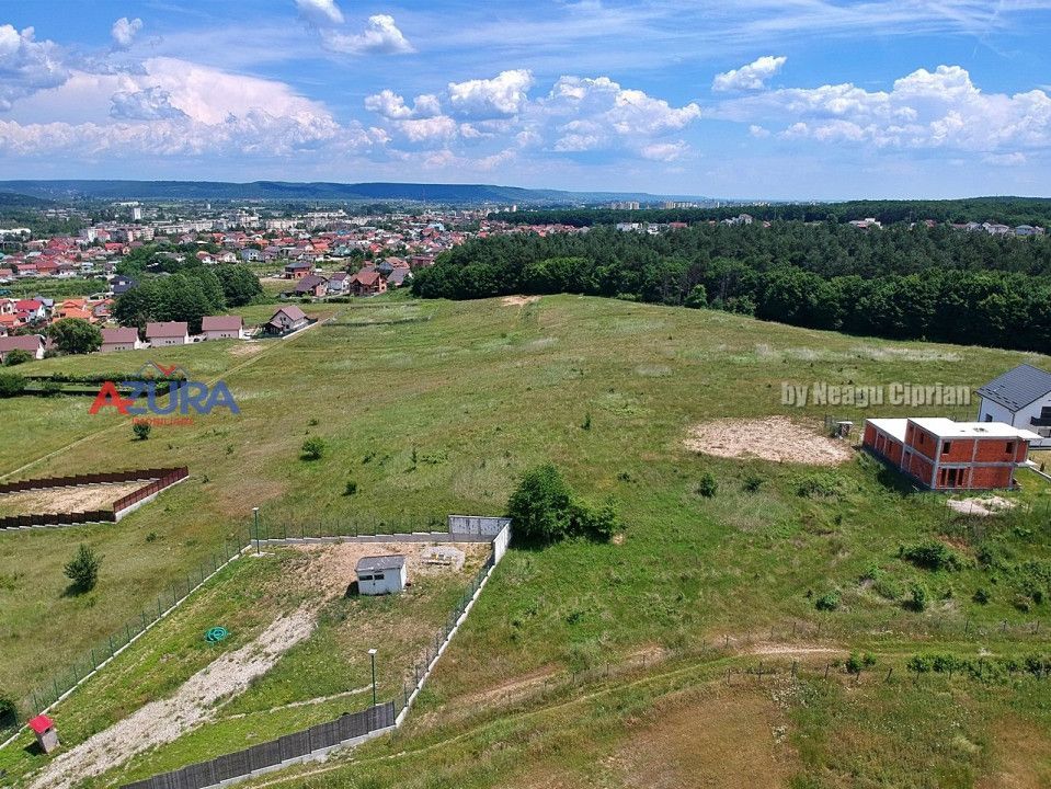 Vanzare teren 1020 mp, intravilan, Labusesti - Poză 3