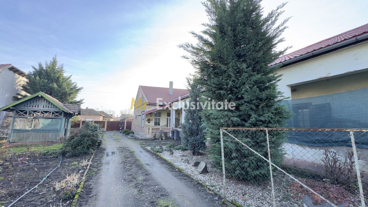 Casă 4 camere cu Teren 2.974 mp | Rezidență sau afacere | Carei - Poză 13