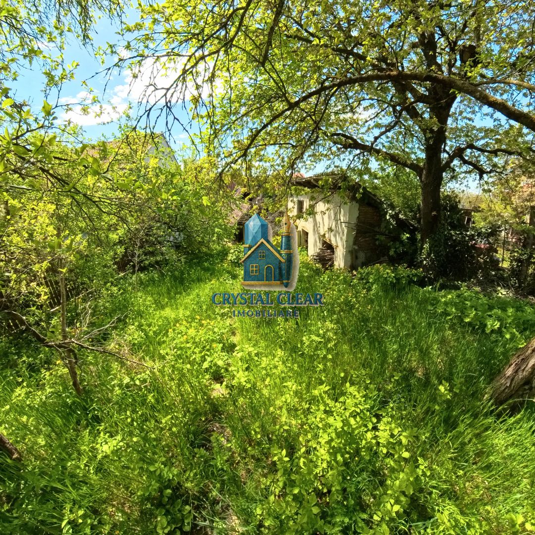 Casă 2 camere + teren 1700 mp - zona Platoul Cornești, str. Trebely - Poză 22
