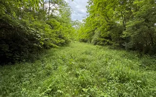 Teren plat-intravilan -3800 mp, cu pădurice și ieșire la râu! - Poză 23